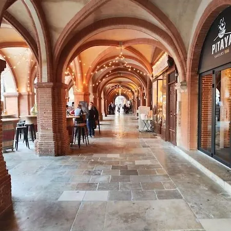Apartment Le Terra Cotta - Proche Hyper Centre Montauban