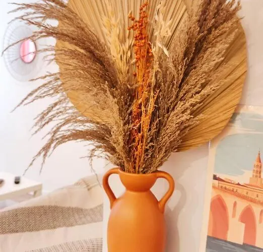 Apartment Le Terra Cotta - Proche Hyper Centre