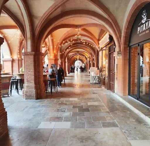 Lägenhet Le Terra Cotta - Proche Hyper Centre Montauban